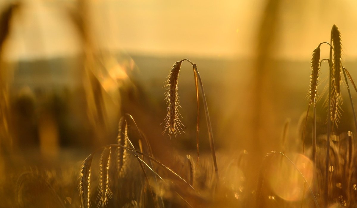 blog single post